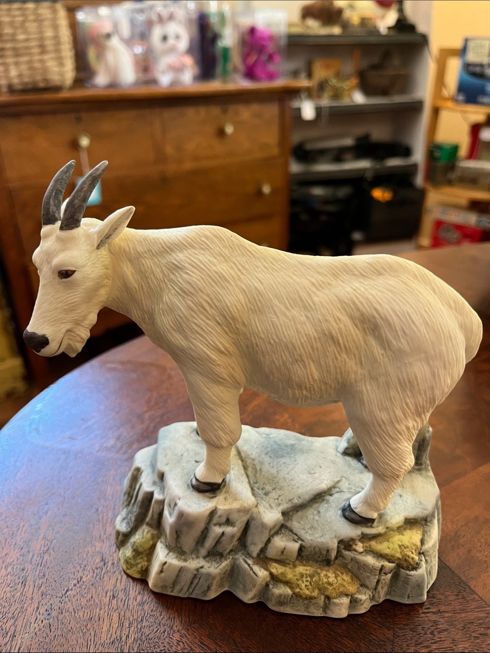 Mountain Goat by Andrea